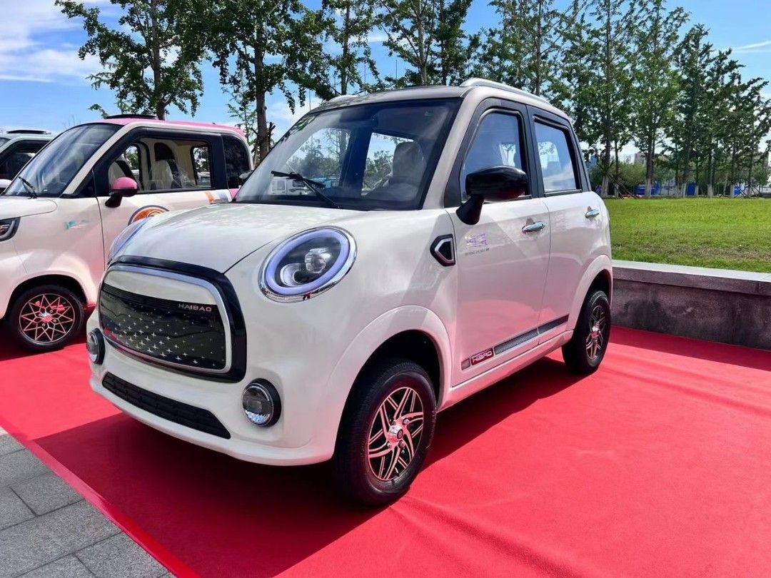 HAIBAO LINGDONG PRO LS Auto - Image 8