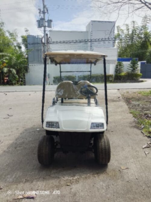4 Seater Electric Golf Cart with Cargo Box
